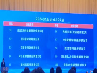 熱烈祝賀丨諾亞人力集團榮登河北企業(yè)百強、蟬聯(lián)河北服務(wù)業(yè)企業(yè)百強榜單！